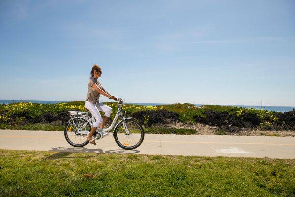 Le Wayscral Everyway E450 : le vélo électrique idéal en ville