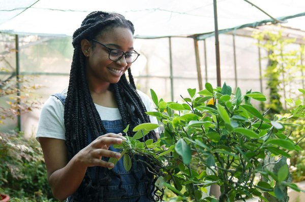 Les Dernières Tendances en Entraînement Sportif pour 2024